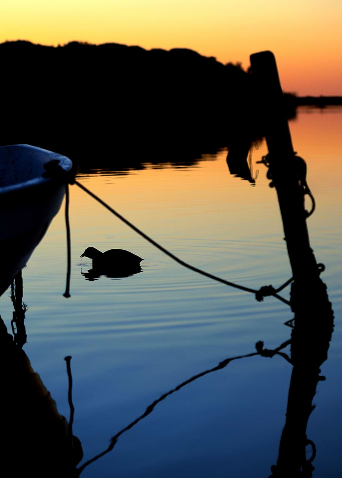 Still waters one