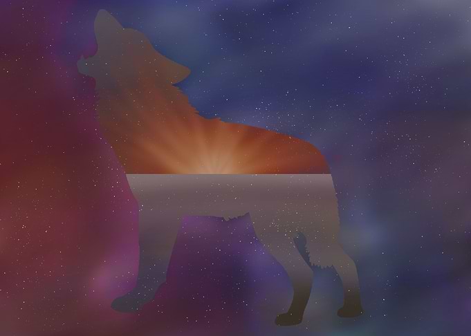 Wolf Shade Sunrise