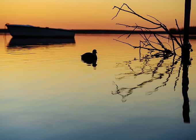 Still waters twelve