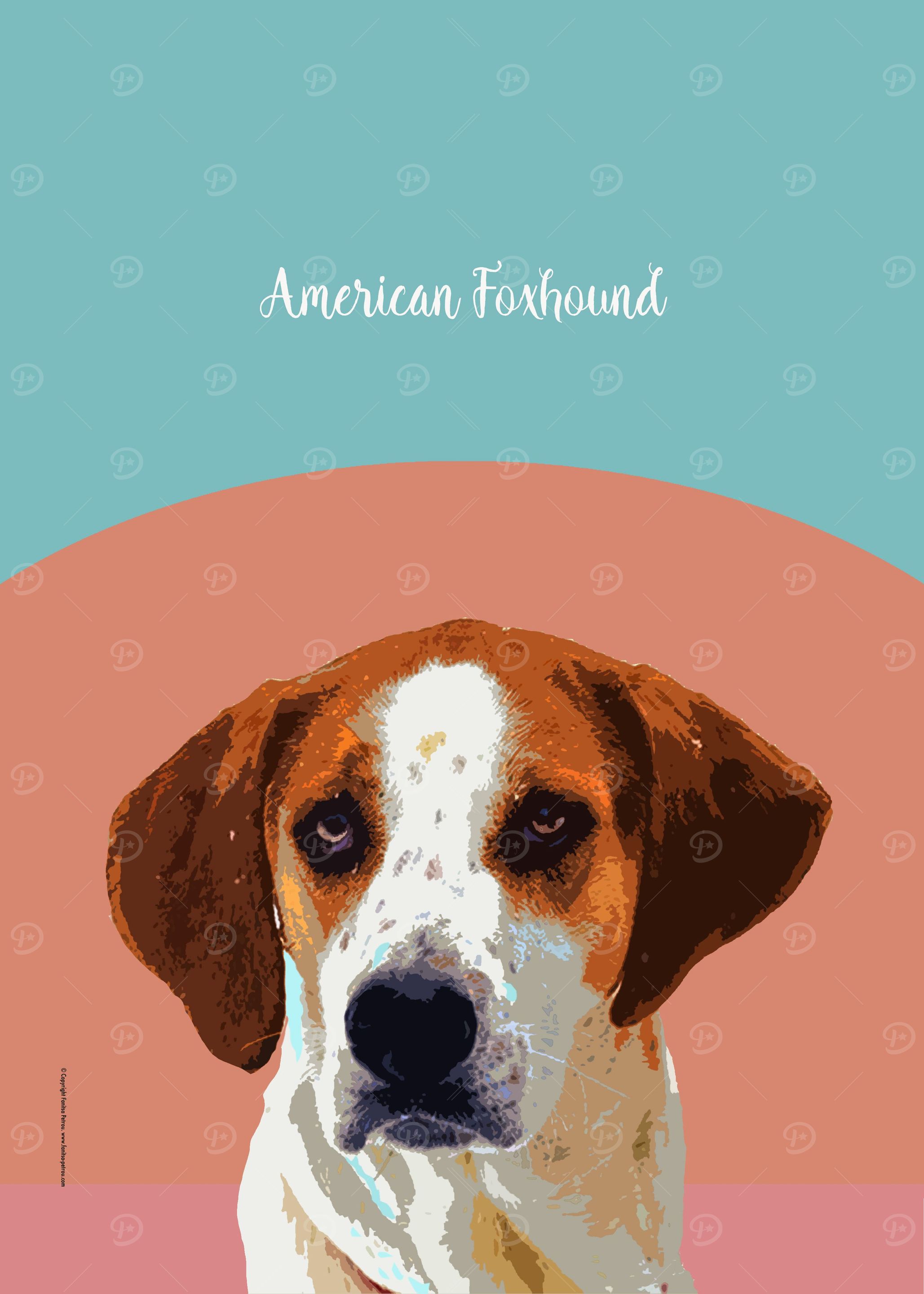 American Foxhound