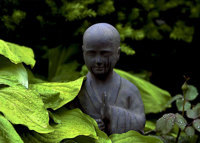 Buddha and plants