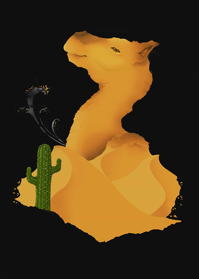 Sahara Camel