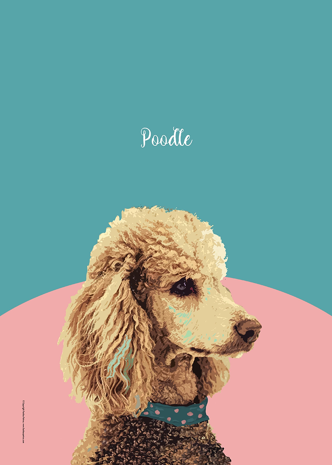Poodle