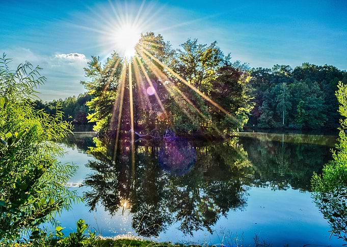 Sunset At The Park