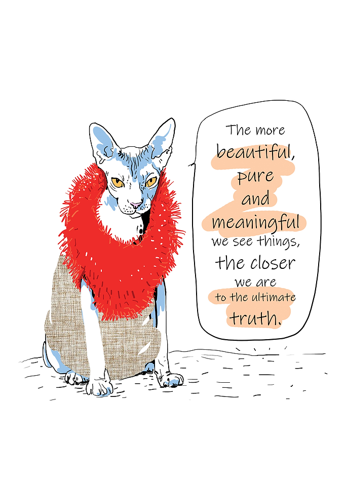 Fashionable Cat North We