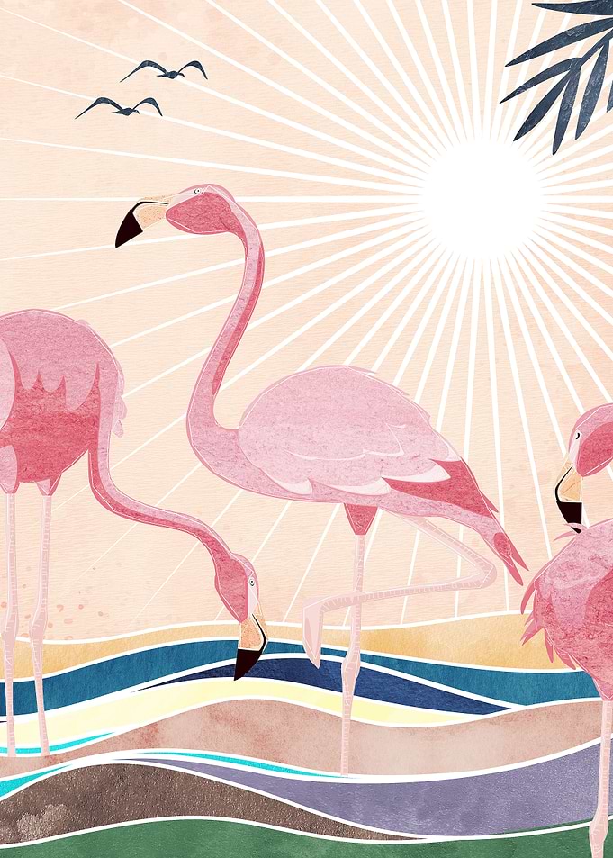 Flamingo