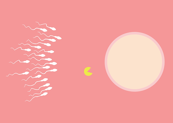 Egg Race
