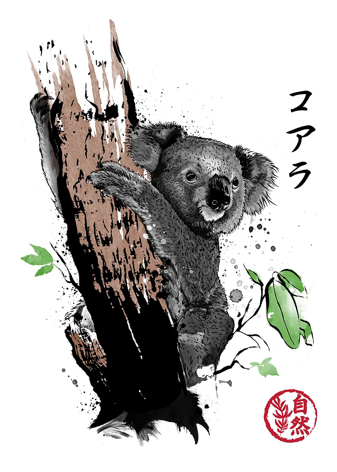 Wild Koala