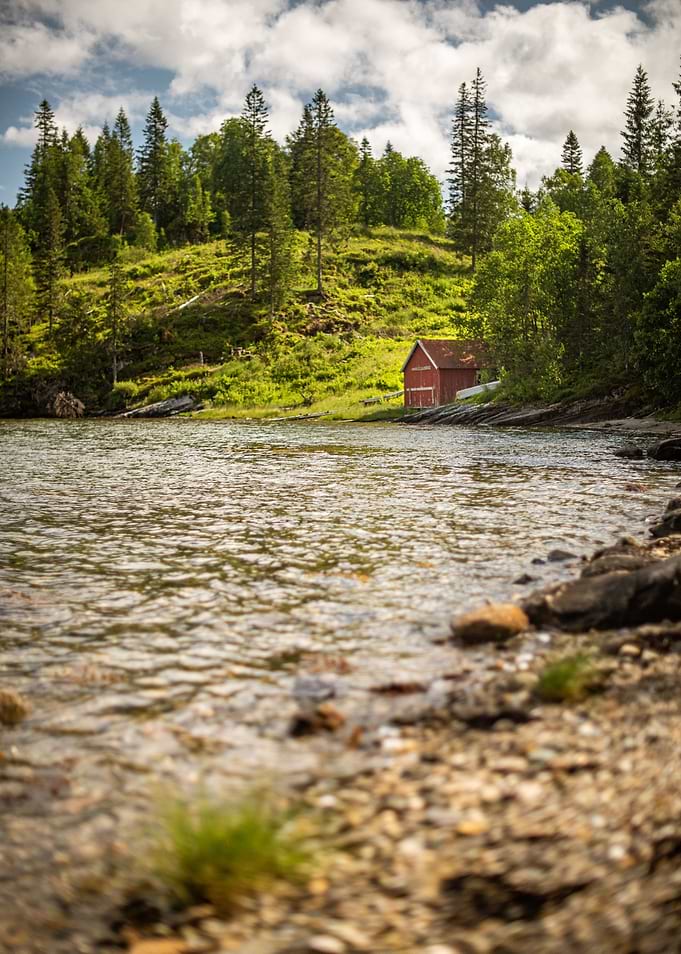 lonely cabin