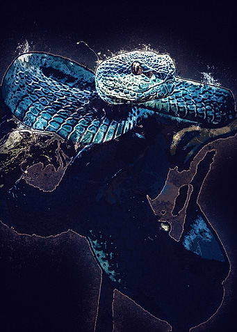 Snake Design part 8