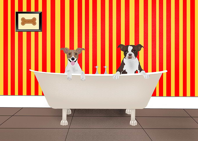 Bath Time For The Dogs