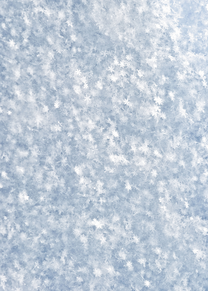 The Layer Of Fresh Snow