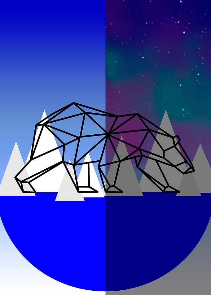 Polar Bear