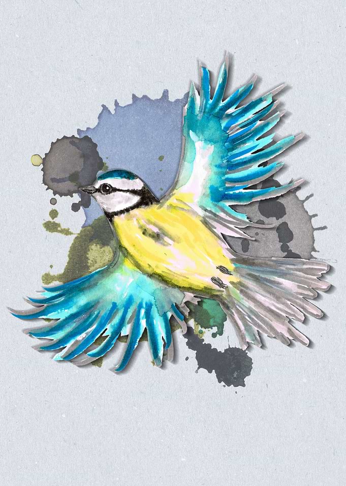 Flying Blue Tit