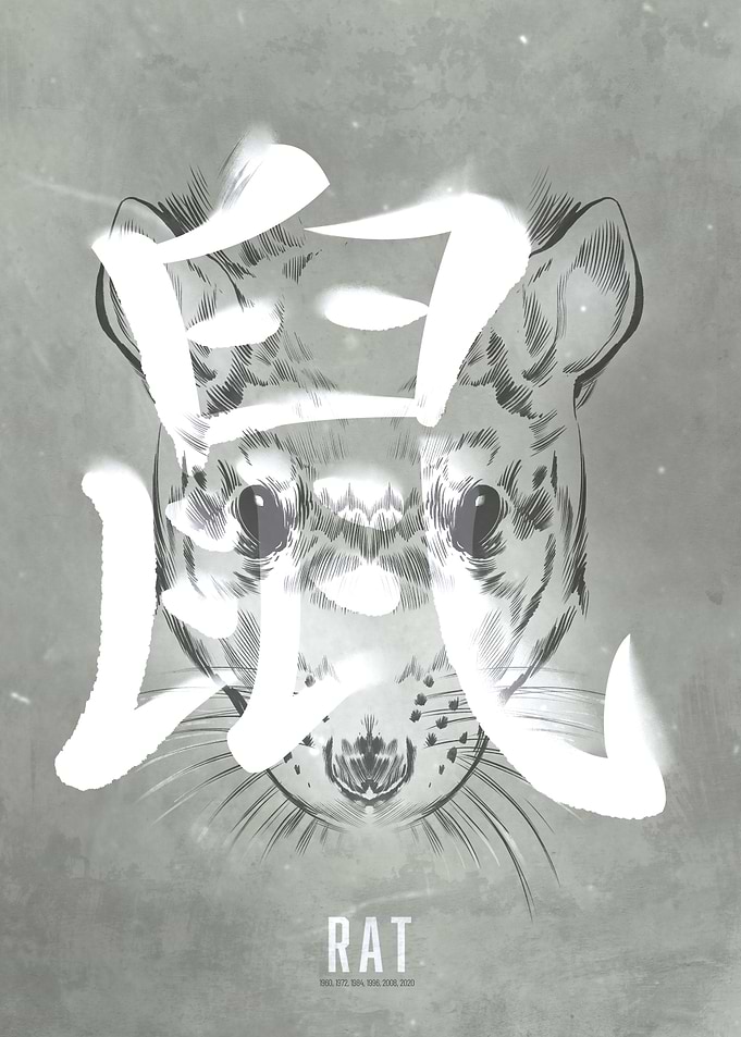 Rat