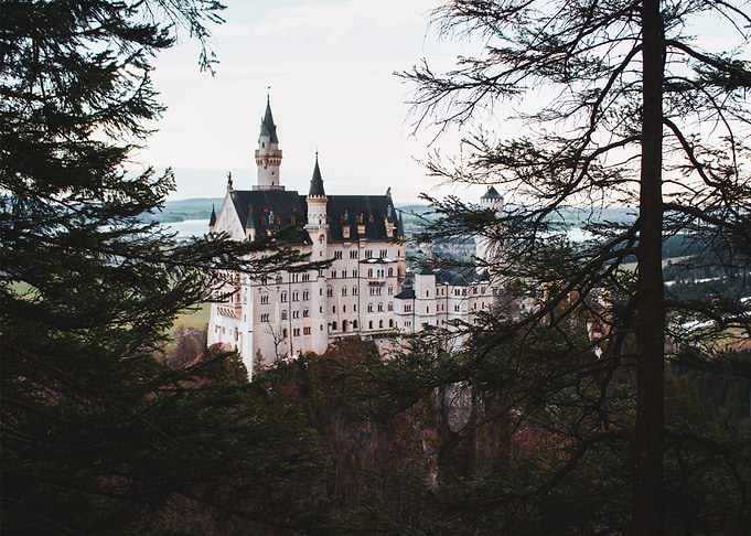 castle tree