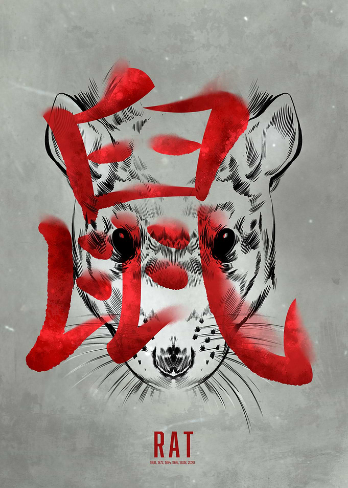 Rat