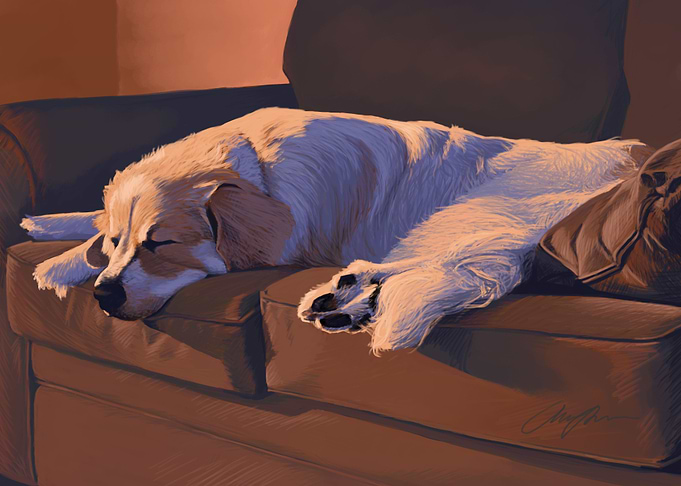 Couch Hog