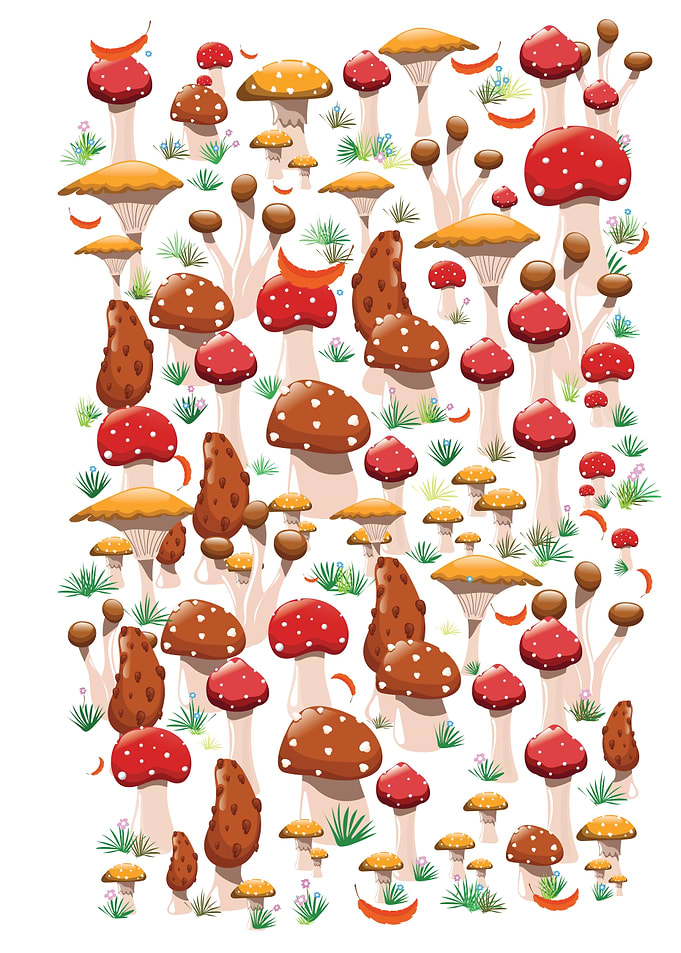 Mushrooms