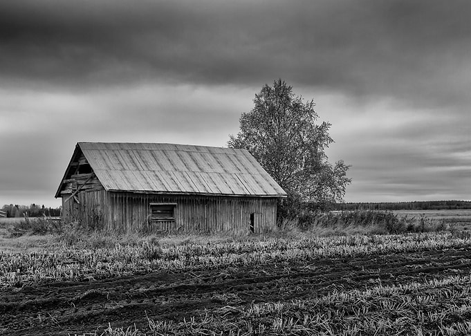 Barn By The Autumn Fields