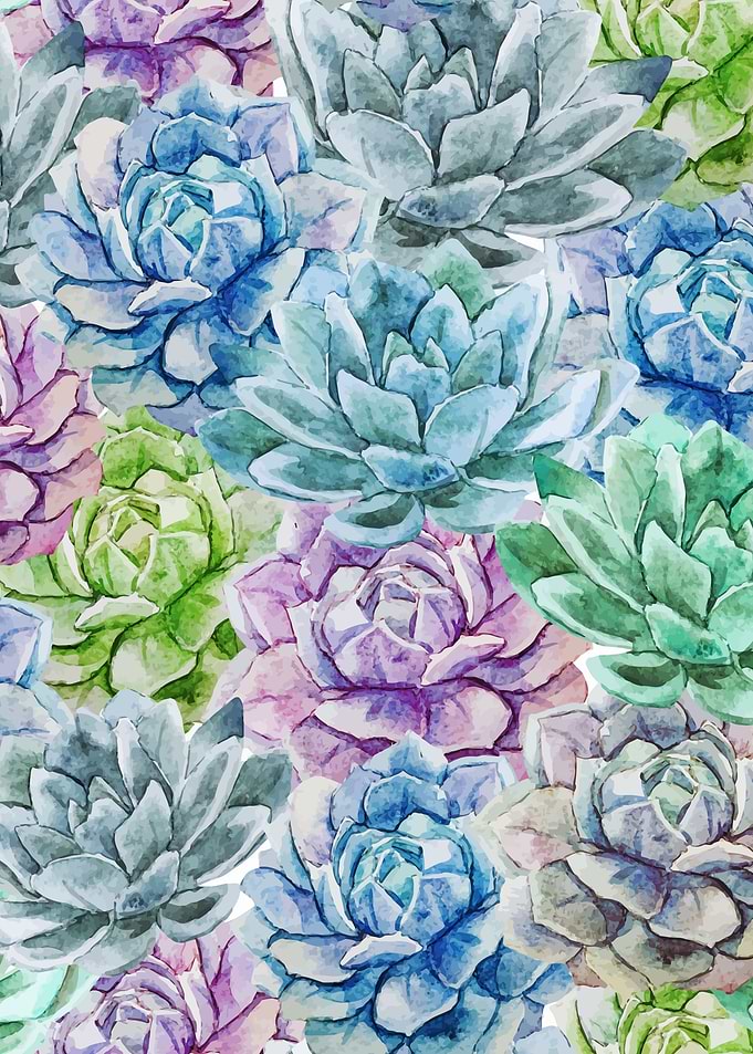 Cactus Pattern 16