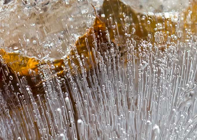 Ice bubbles frozen in ice