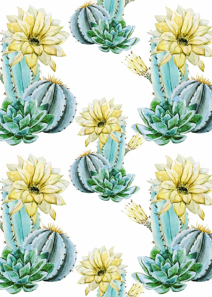 Cactus Pattern 03