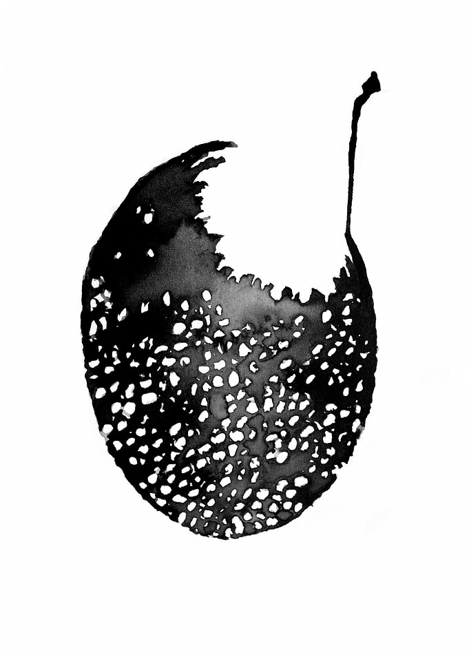 black ink