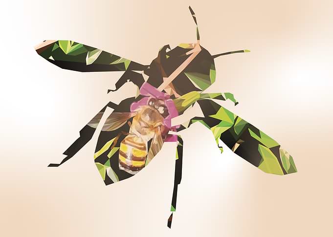 Orange HoneyBee