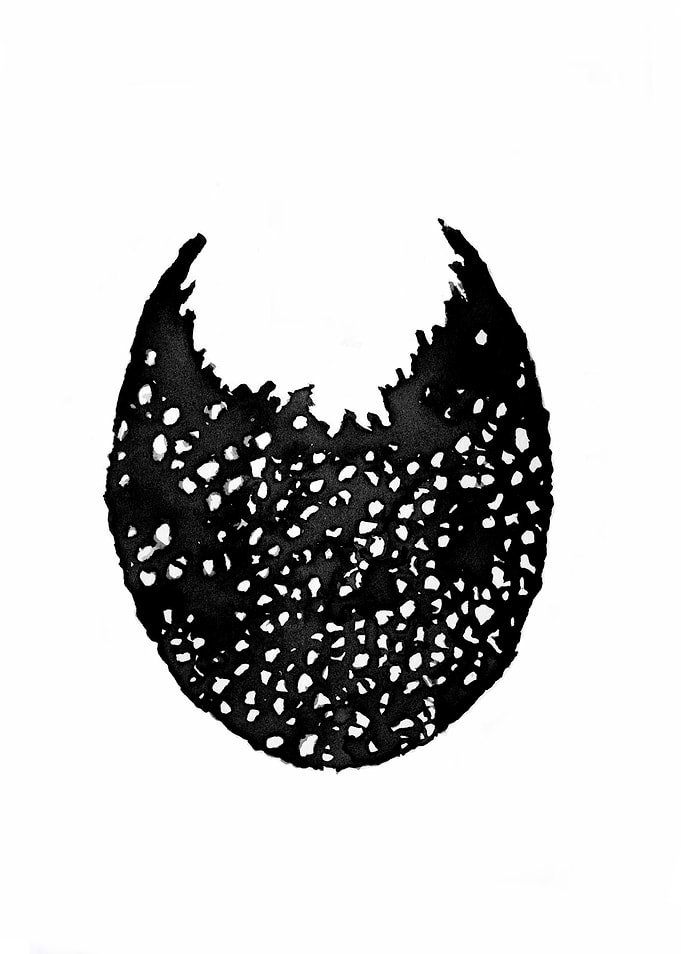 black egg
