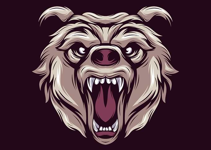 Angry bear face