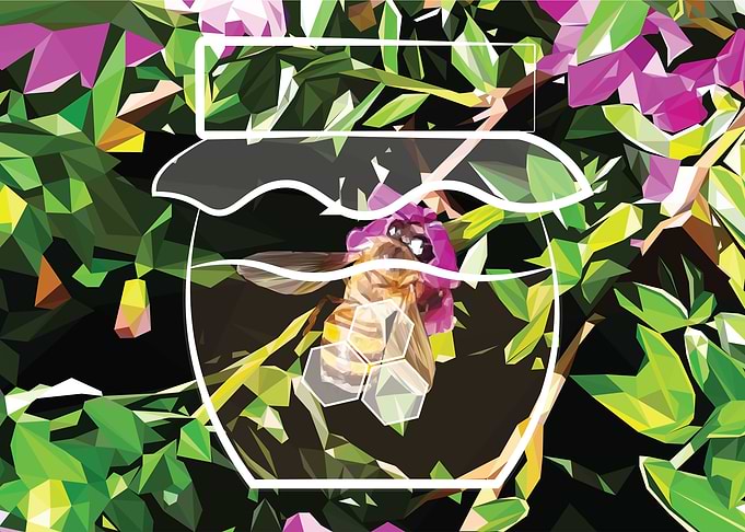 Honey Bee