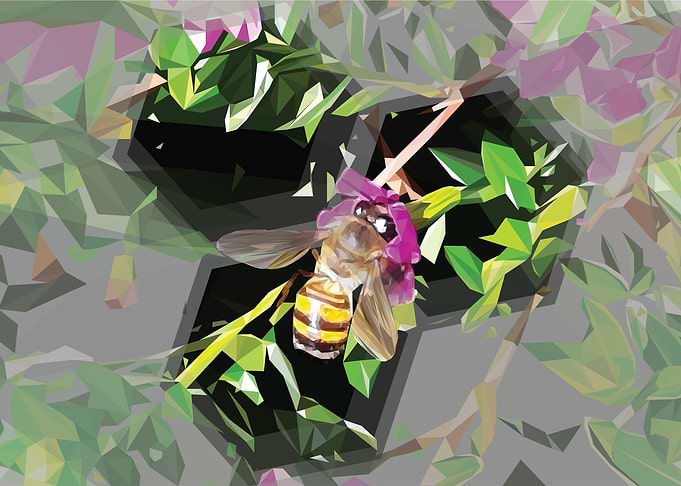 Full Honey Creation