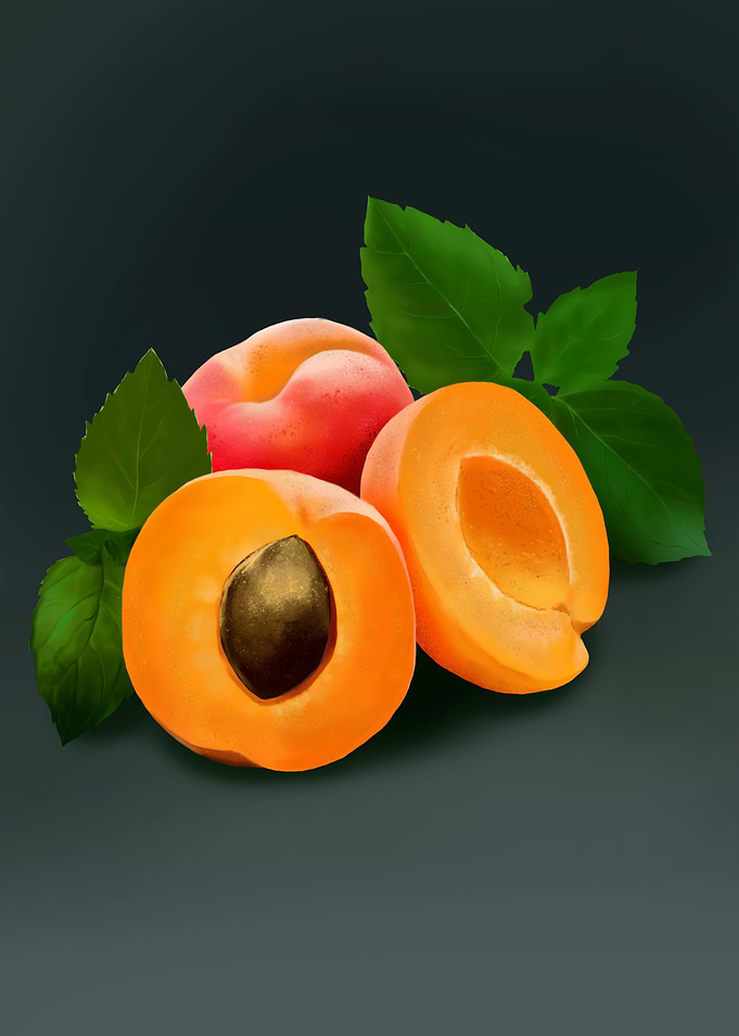 Apricot Fruits Food