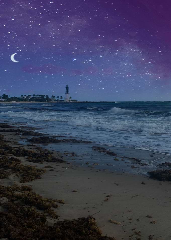 magical surf