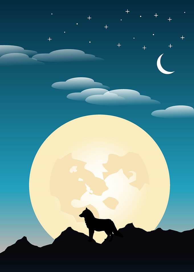 lion night poster