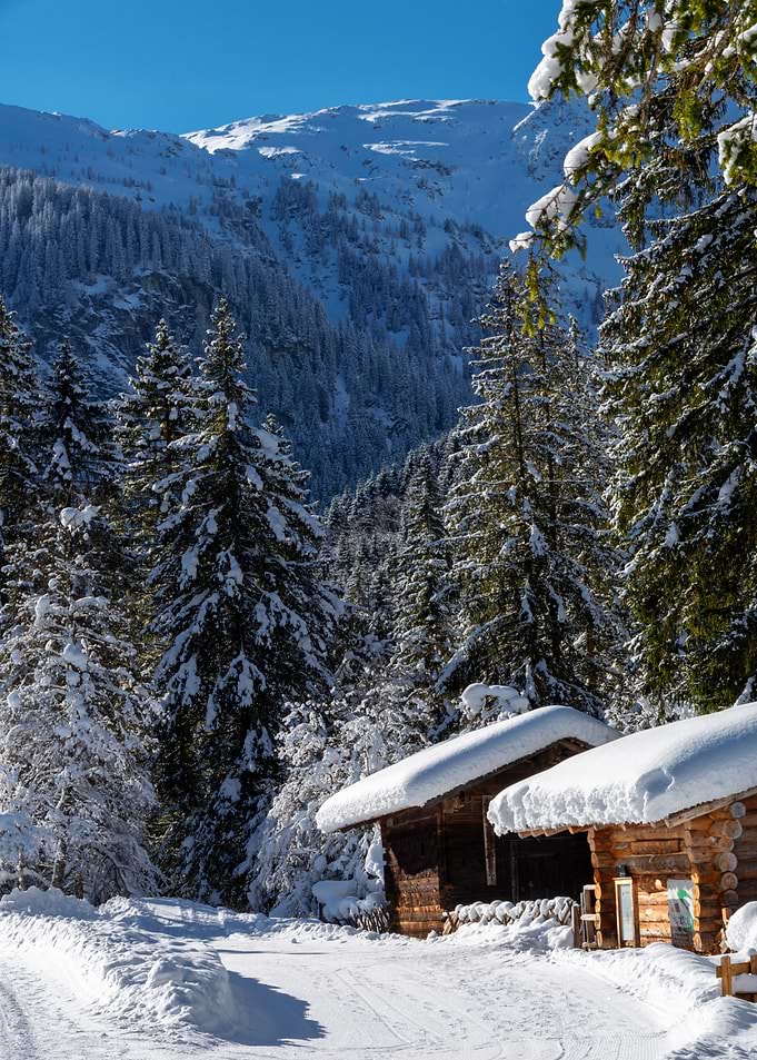 winter landscape