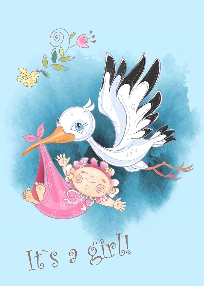 Stork flies with baby girl