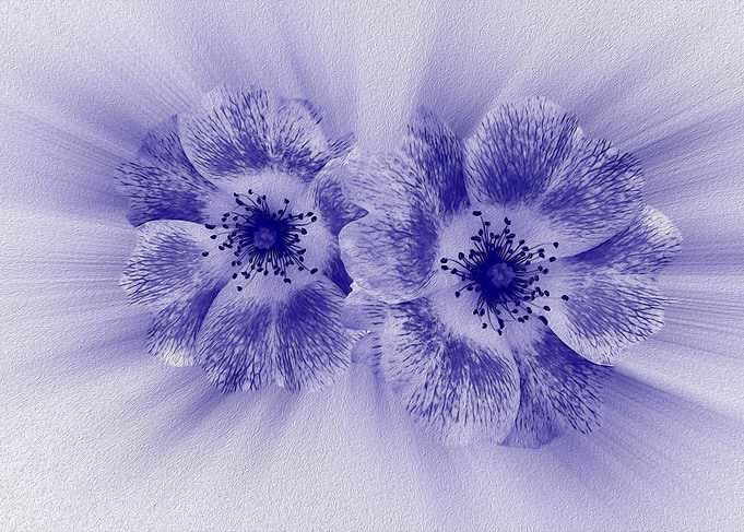 Flower in blue 2