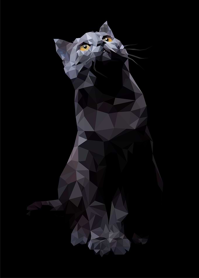 LOW POLY CUTE CAT