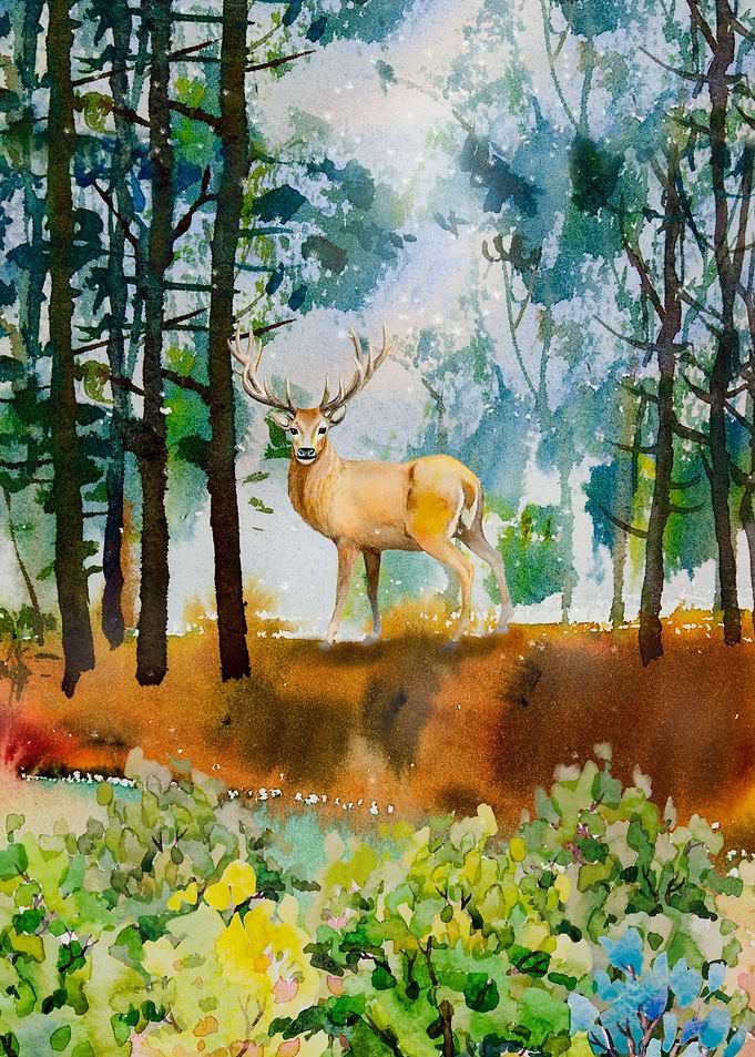 Deer in the Forest