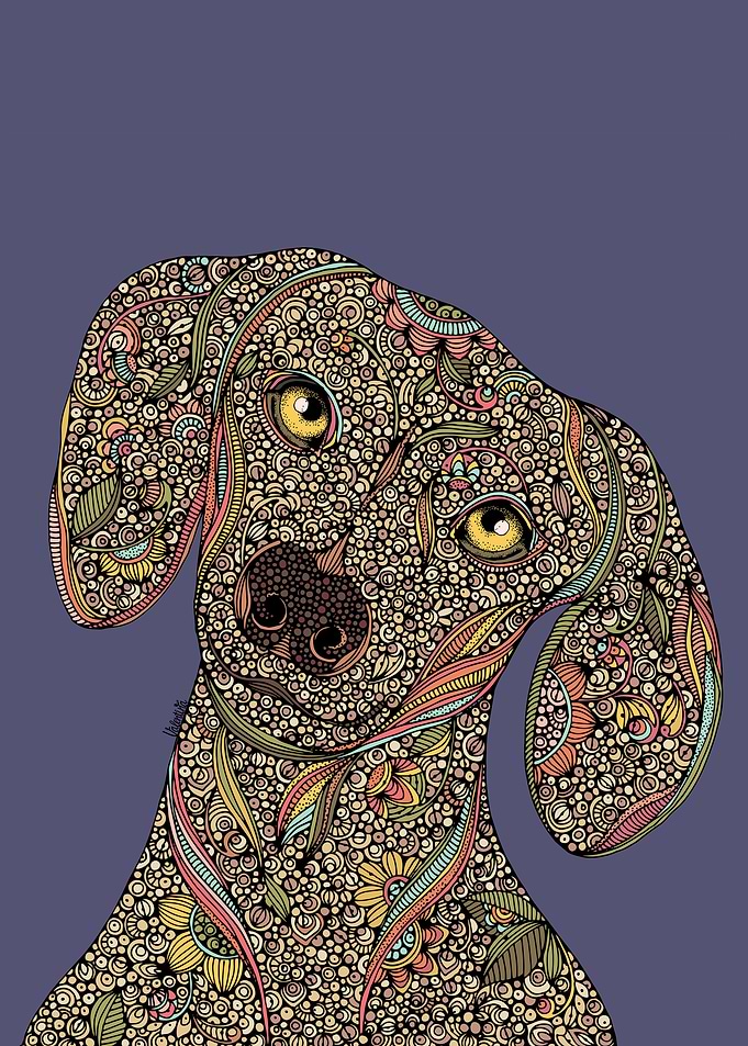 Roxy
