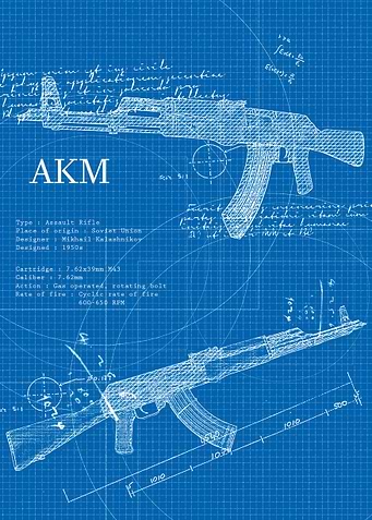 Akm Weapon