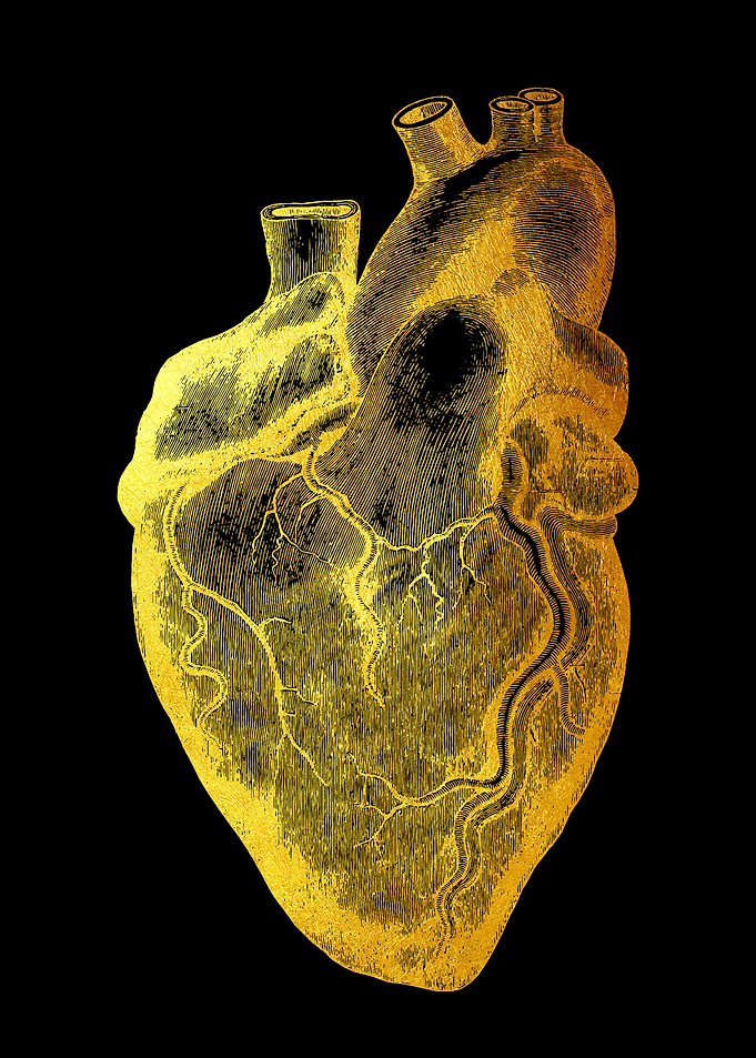 Heart