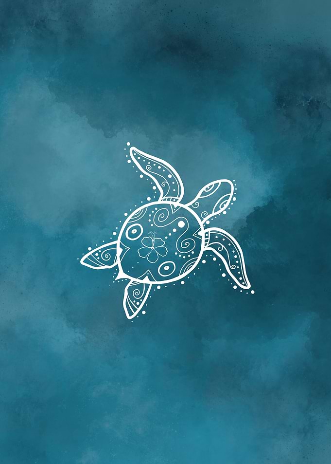 Sea Turtle Conservation