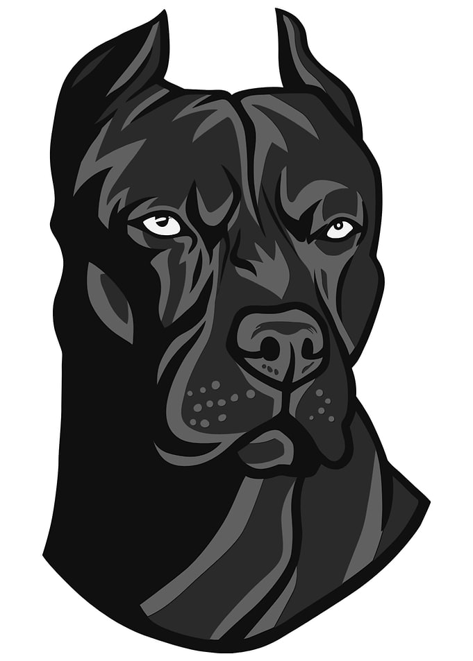 Bulldogg