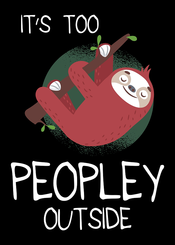 FUNNY SLOTH