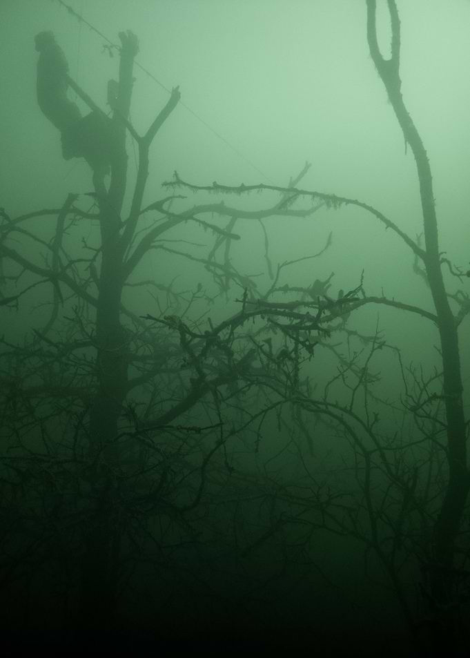 Sunken Trees