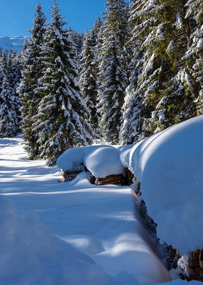 winter panorama