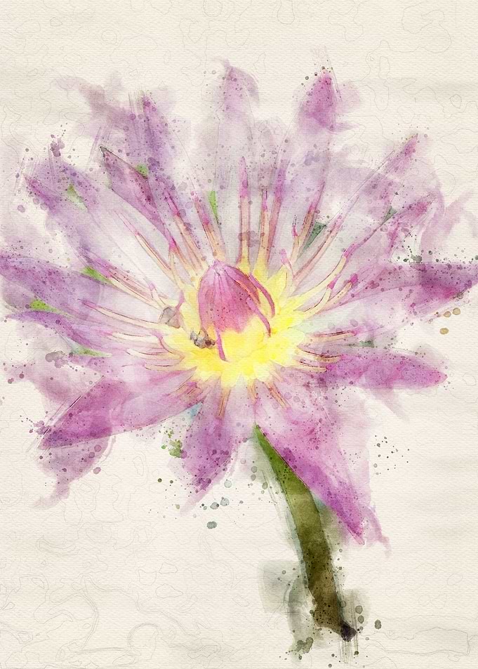 Flower Watercolor